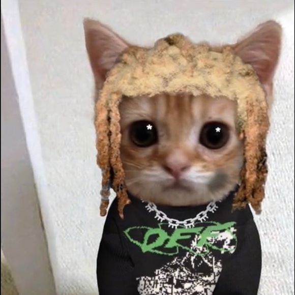 elgatito12
